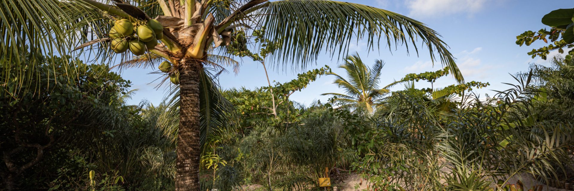 Caminho para a praia